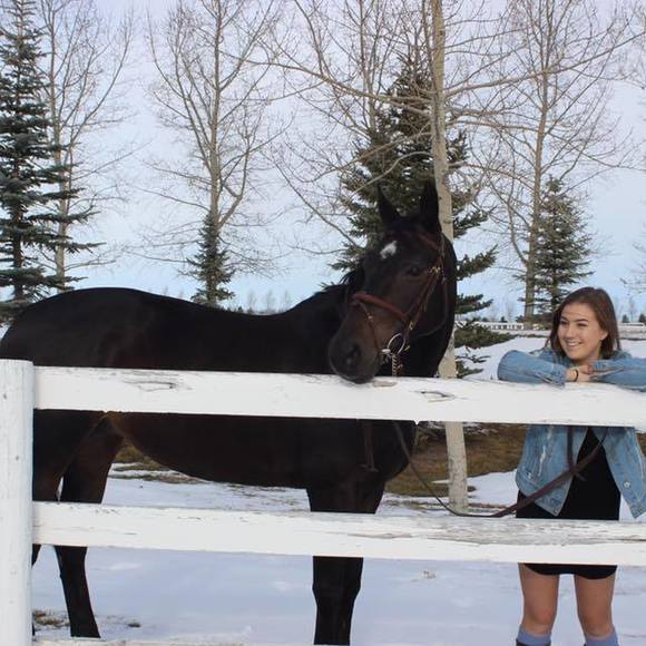 Meet your Posher, Riley - Picture 1 of 1